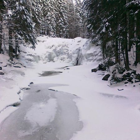 Pension Mona Harrachov Buitenkant foto