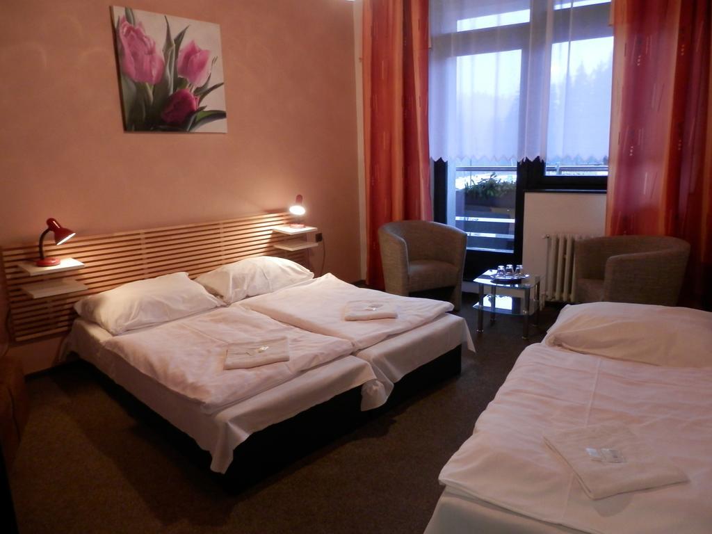 Pension Mona Harrachov Kamer foto