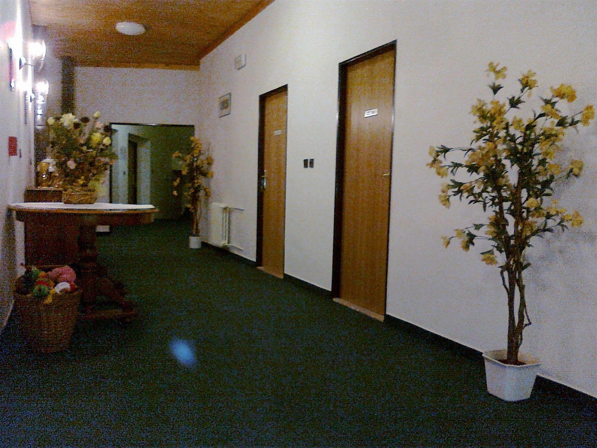 Pension Mona Harrachov Buitenkant foto